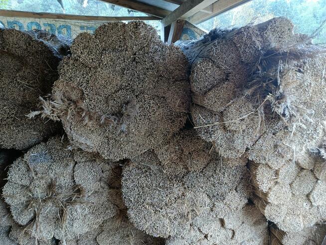 TRZCINA DACHOWA POLECAM !!