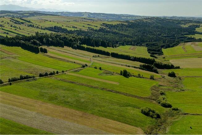 Działka w Dursztynie