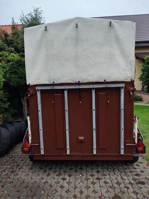 Sprzeda ładną przyczepę do koni