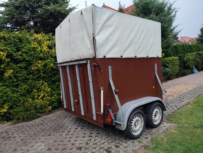 Sprzeda ładną przyczepę do koni