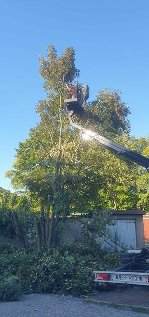 Wycinka Drzew, utylizacja zielonej masy, podnośnik koszowy