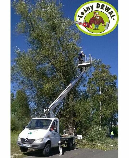 Wycinka Drzew, utylizacja zielonej masy, podnośnik koszowy