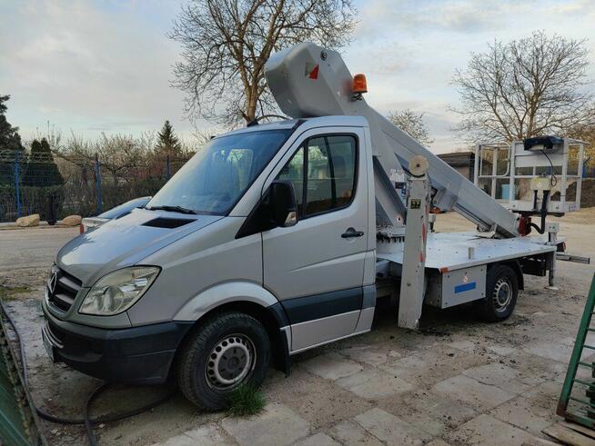 Wycinka Drzew, utylizacja zielonej masy, podnośnik koszowy