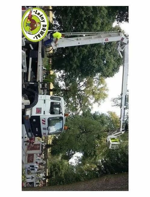 Wycinka Drzew, utylizacja zielonej masy, podnośnik koszowy