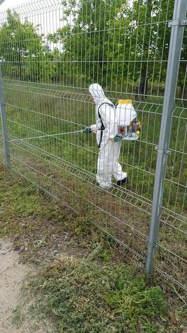 Wycinka Drzew, utylizacja zielonej masy, podnośnik koszowy