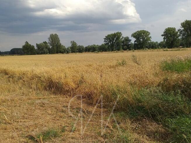 atrakcyjna działka z pięknym widokiem