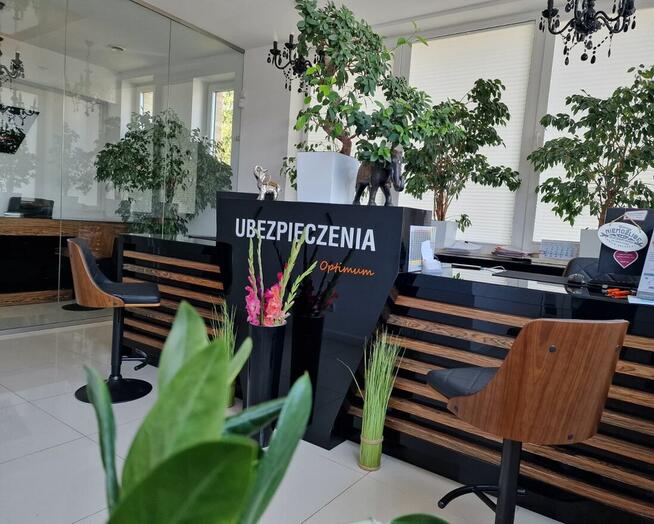 OC DIAGNOSTY LABORATORYJNEGO