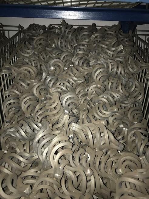 Sprzedam cebulki do ogrodzenia