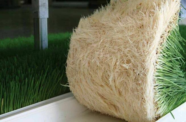 Do wyboru - trzy oferty pracy!