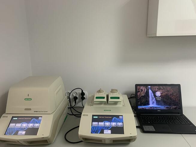 REAL-TIME PCR SYSTEM