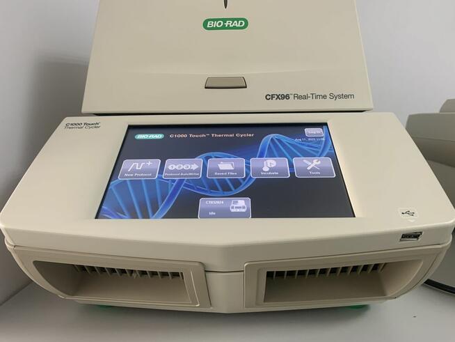 REAL-TIME PCR SYSTEM