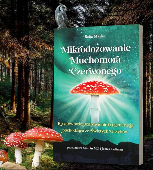 Książka Mikrodozowanie muchomora czerwonego – dr. med. Bab
