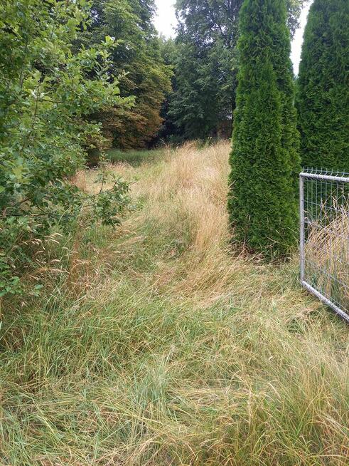 KOSZENIE TRAWY NIEUZYTKOW RYKI DEBLIN