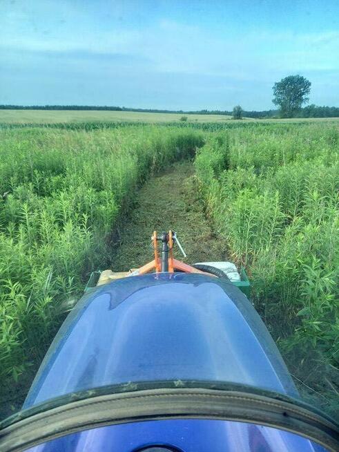 Koszenie trawy nieużytków PULAWY PUŁAWY TANIO