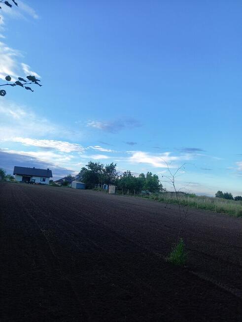 NIWELACJA RÓWNANIE PRZYGOTOWANIE DZIAŁKI