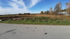 Sprzedam działkę w Antonielowie, gmina Łopuszno