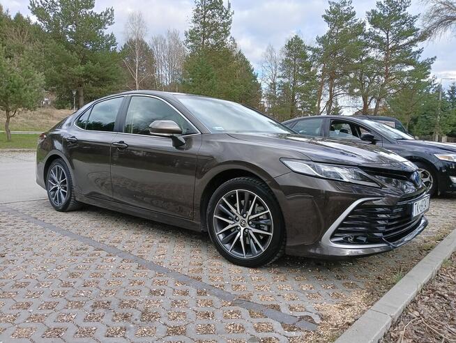 Przewóz osób/Transfery lotniskowe