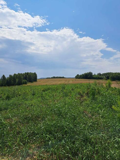 Działka rolna Skała Skała/Ojców