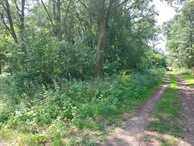 Działka budowlana Popielarze gm. Radzymin, Popielarze