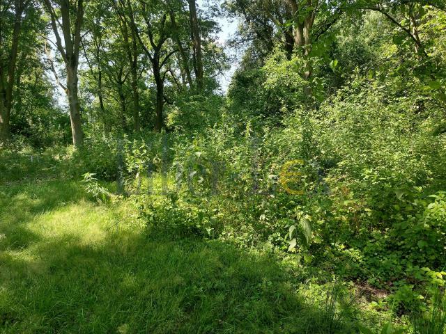 Działka budowlana Popielarze gm. Radzymin, Popielarze