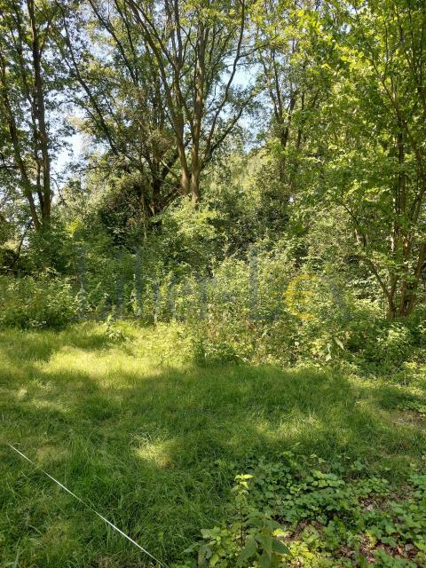 Działka budowlana Popielarze gm. Radzymin, Popielarze