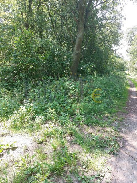 Działka budowlana Popielarze gm. Radzymin, Popielarze