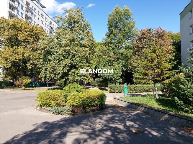 Do wprowadzenia, klimatyzacja i meble w cenie