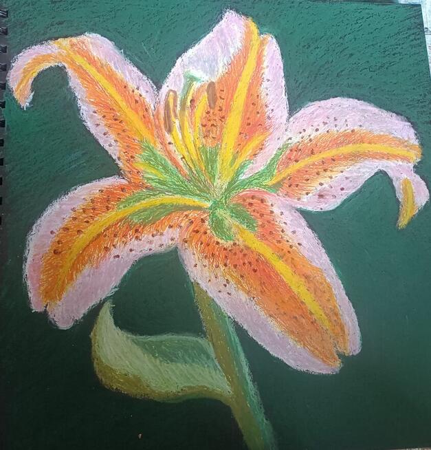 Pracownik biurowy szuka pracy w Częstochowie