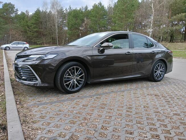 Przewóz osób/Transfery lotniskowe