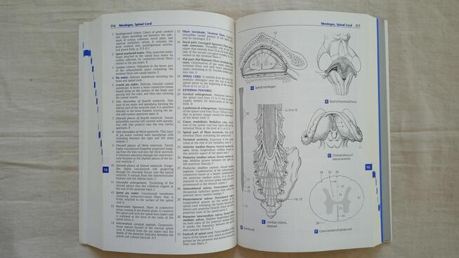 Pocket atlas od Human Anatomy W. Daubler