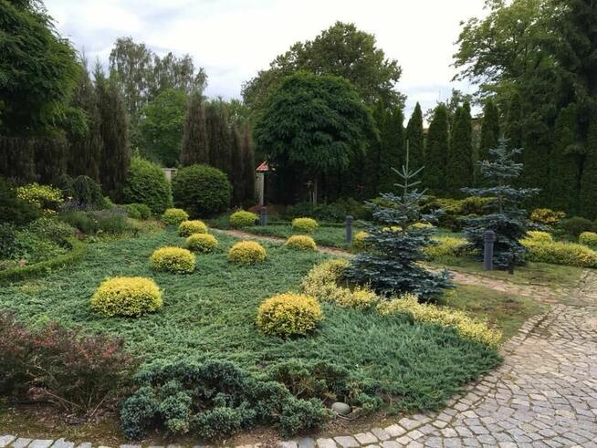 Dom z dużą działką