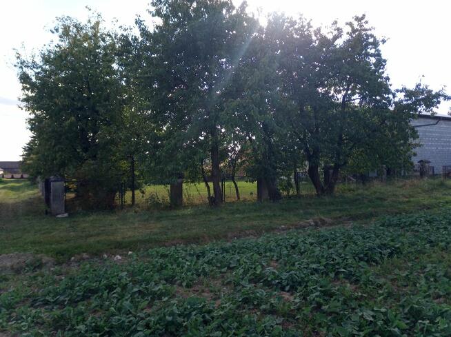 Wynajem budynku w stanie surowym