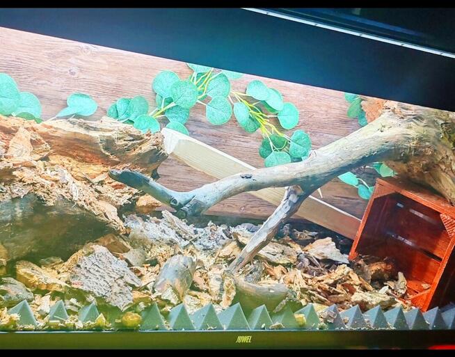 TERRARIUM