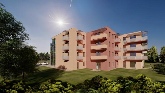 121G N.Sącz ul Grunwaldzka- nieruchomość idealna dla inwesto