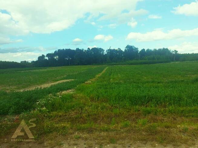 Działka budowlana Jelonki gm. Rychliki