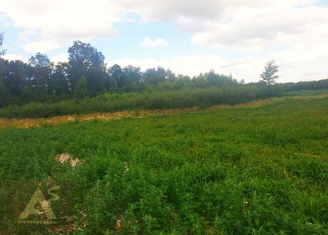Działka budowlana Jelonki gm. Rychliki