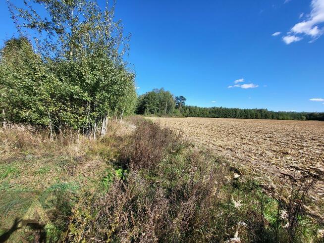 Działka budowlana Jelonki gm. Rychliki