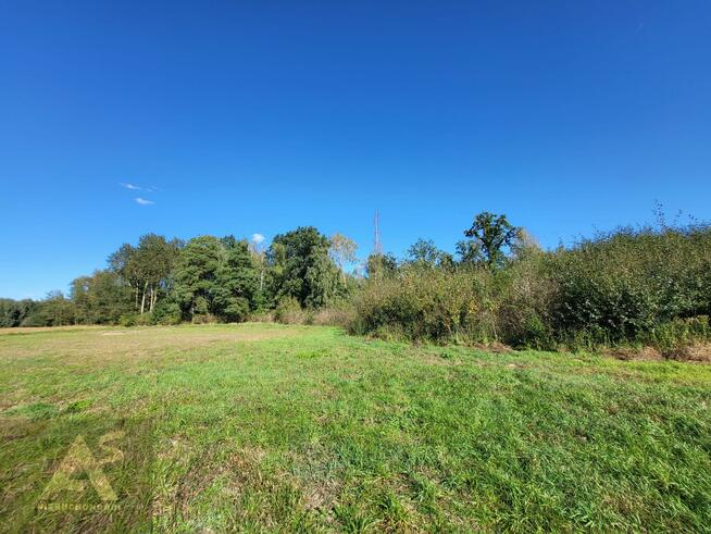 Działka budowlana Jelonki gm. Rychliki