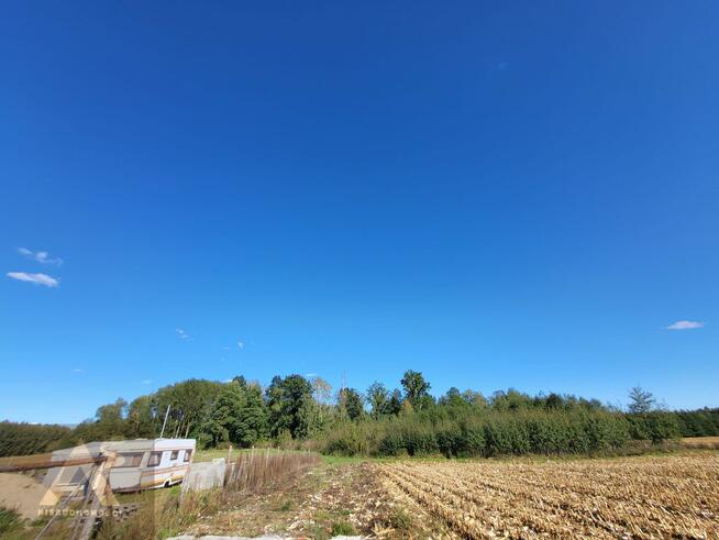 Działka budowlana Jelonki gm. Rychliki