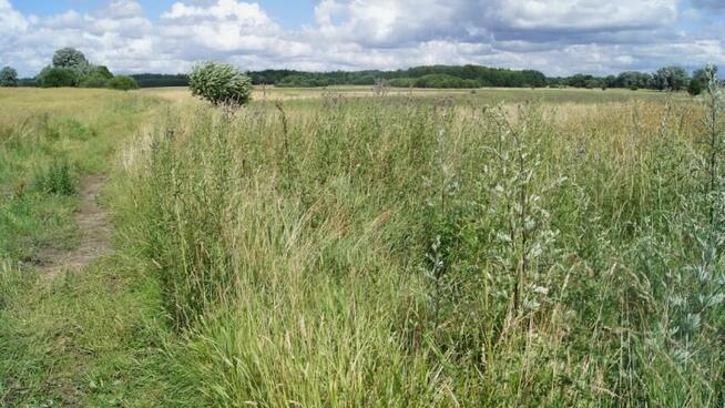 Działka Podwilcze gm. Białogard