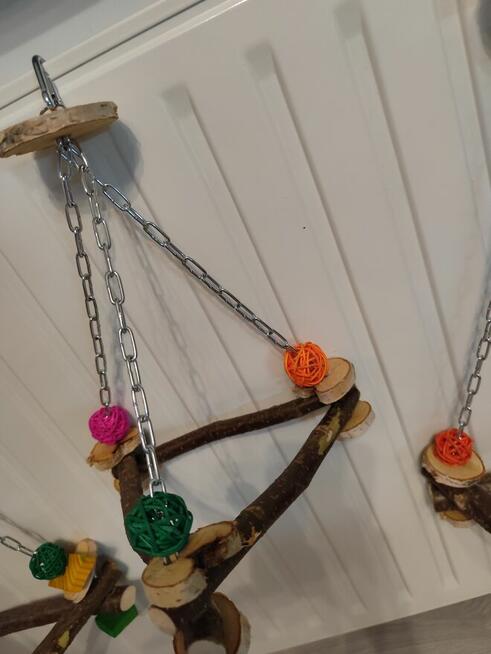 huśtawka trójkąta dla ptaków papugi leszczyna brzoza