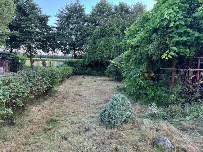 SPRZEDAM DZIAŁKE /OGRÓDEK