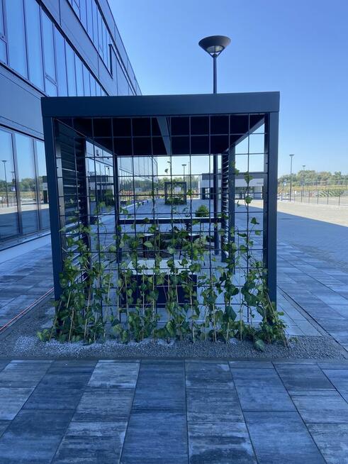 Zadaszenia, altany, pergole ogrodowe