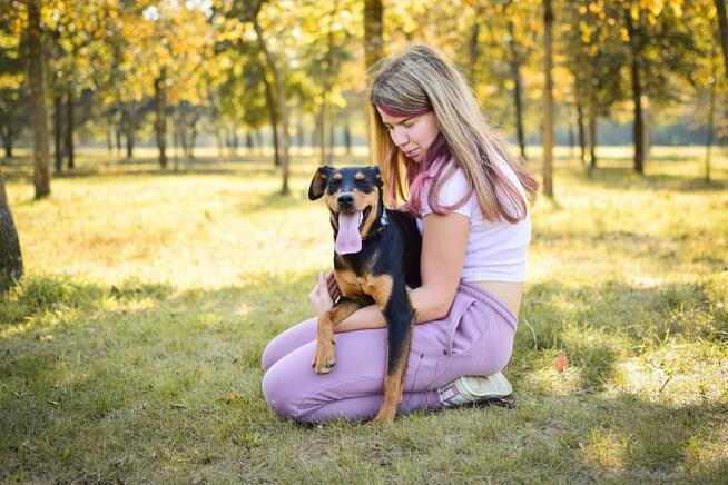 Lala-podrośnięty szczeniak czeka na cierpliwy dom-adopcja