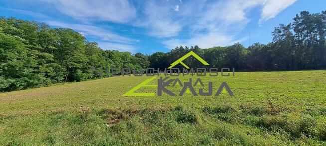 Atrakcyjnie położona działka przy lesie