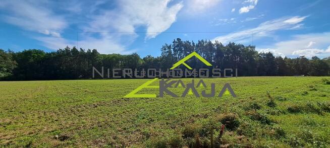 Atrakcyjnie położona działka przy lesie