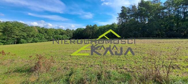 Atrakcyjnie położona działka przy lesie