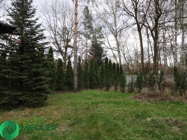 Słoneczna działa ze starodrzewem w granicy