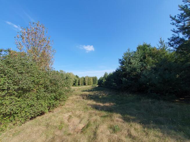 Działka budowlana Przydawki gm. Sobienie-Jeziory