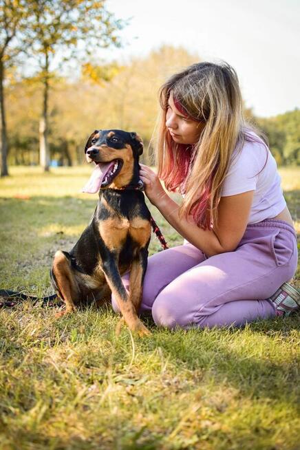 Lala-podrośnięty szczeniak czeka na cierpliwy dom-adopcja